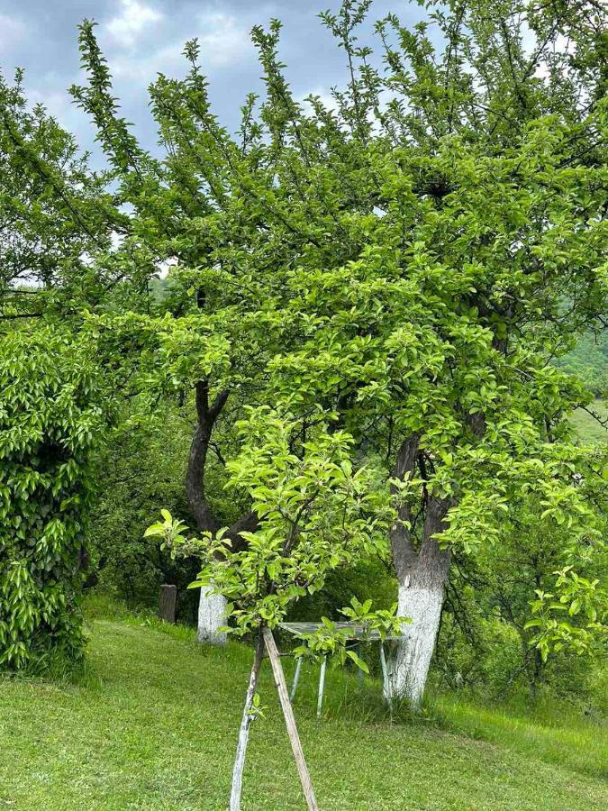 Visoko Gorani Cottage 外观 照片