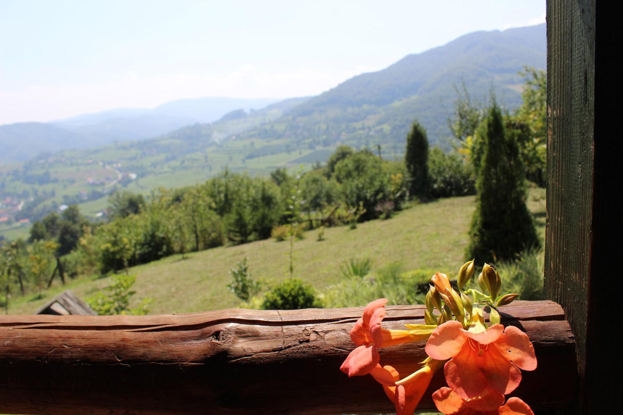 Visoko Gorani Cottage 外观 照片