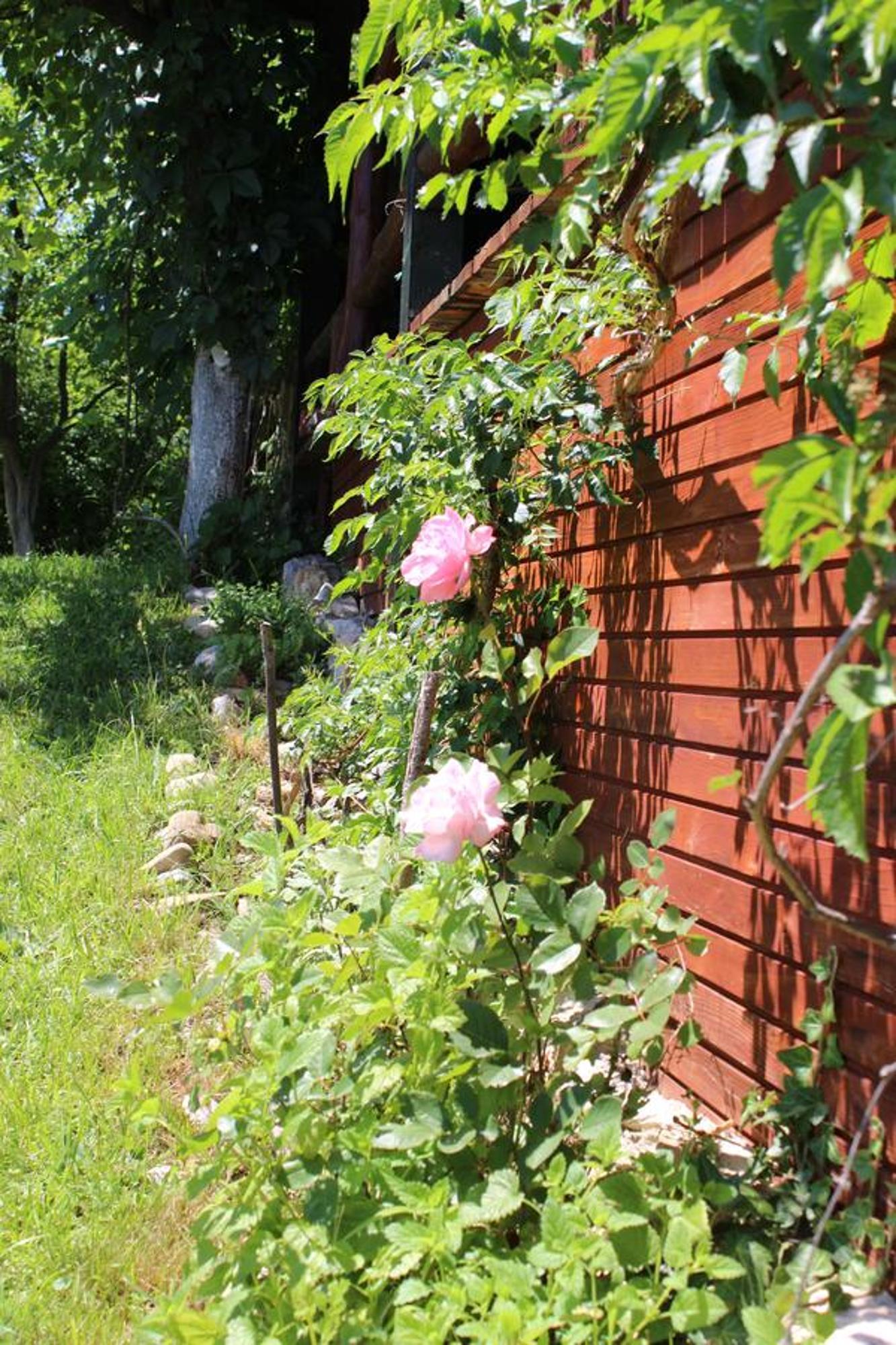 Visoko Gorani Cottage 外观 照片