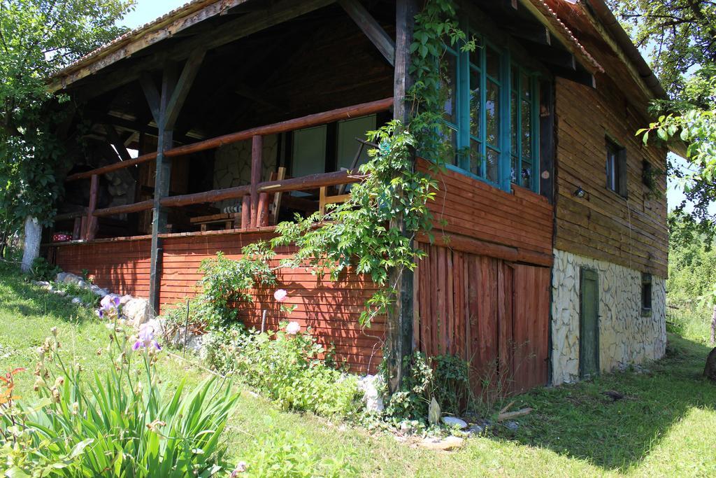 Visoko Gorani Cottage 外观 照片
