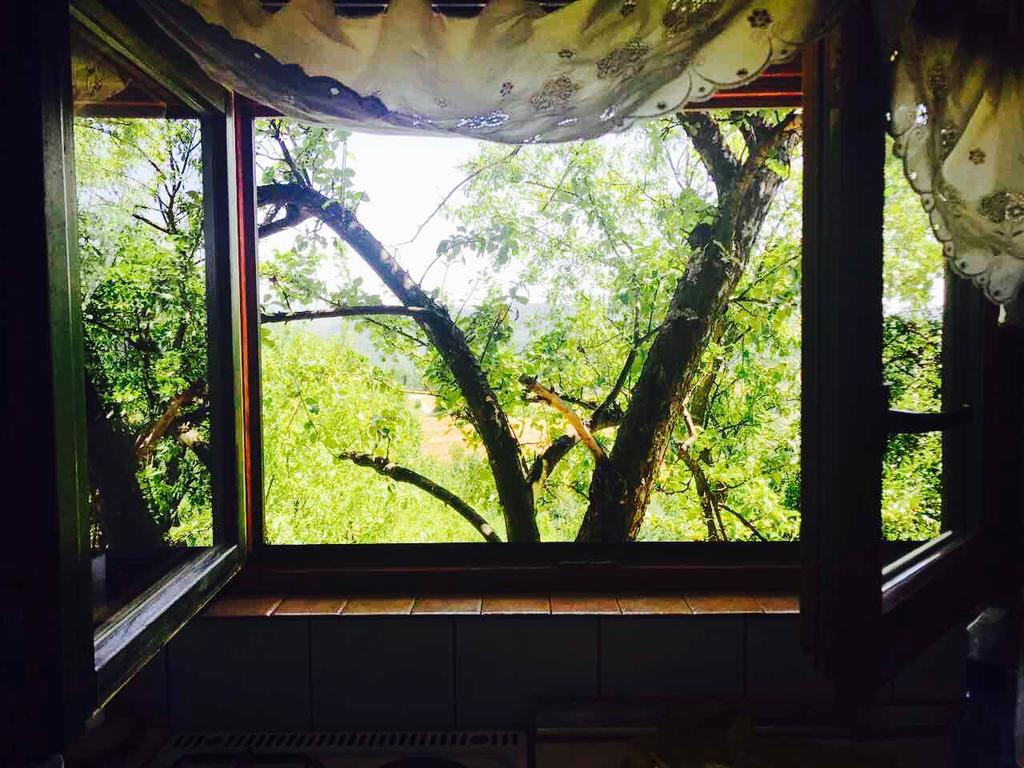 Visoko Gorani Cottage 外观 照片