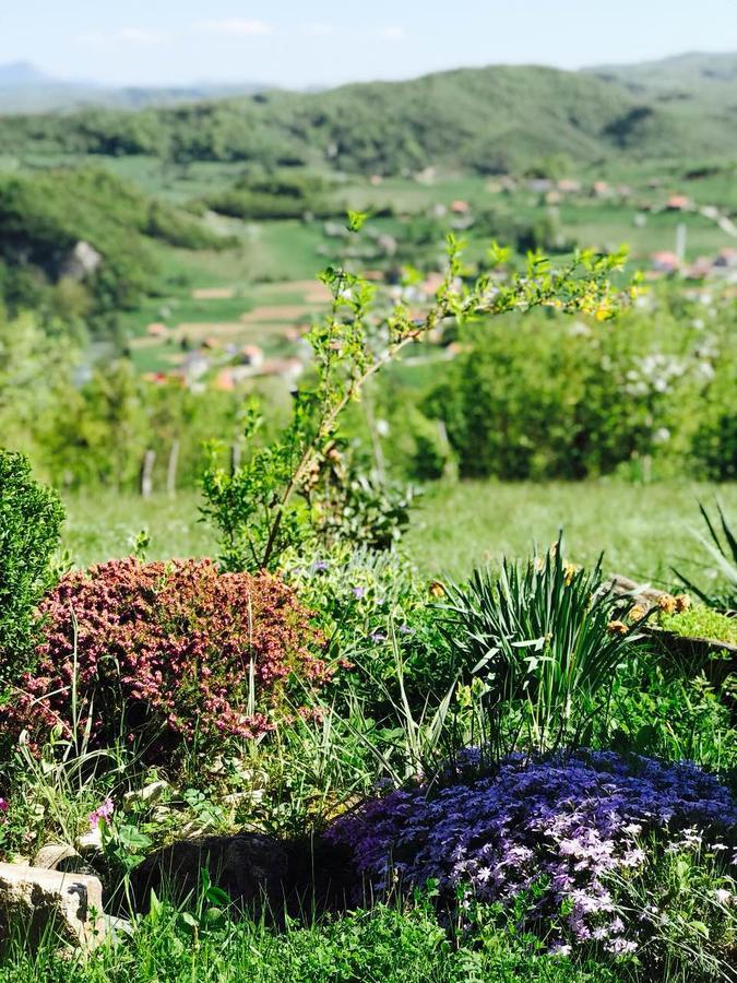 Visoko Gorani Cottage 外观 照片